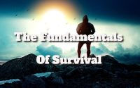 the fundermentals of survival