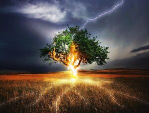 tree-stands-in-field-amidst-lightning-strikes